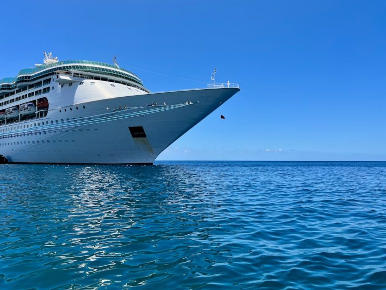 Navigating the Seas: A Guide to Cruise Ship Bookings & Reservations